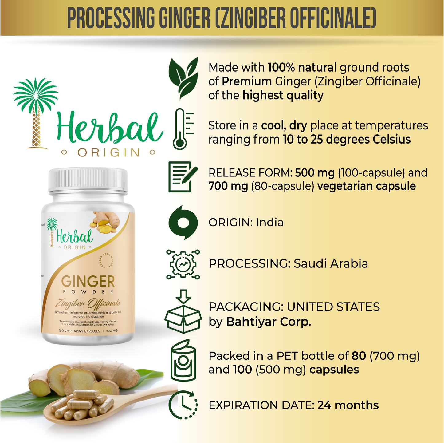 Ginger Root Supplement (Zingiber Officinale) | Premium Sort 100 Vegan Capsule - 500MG