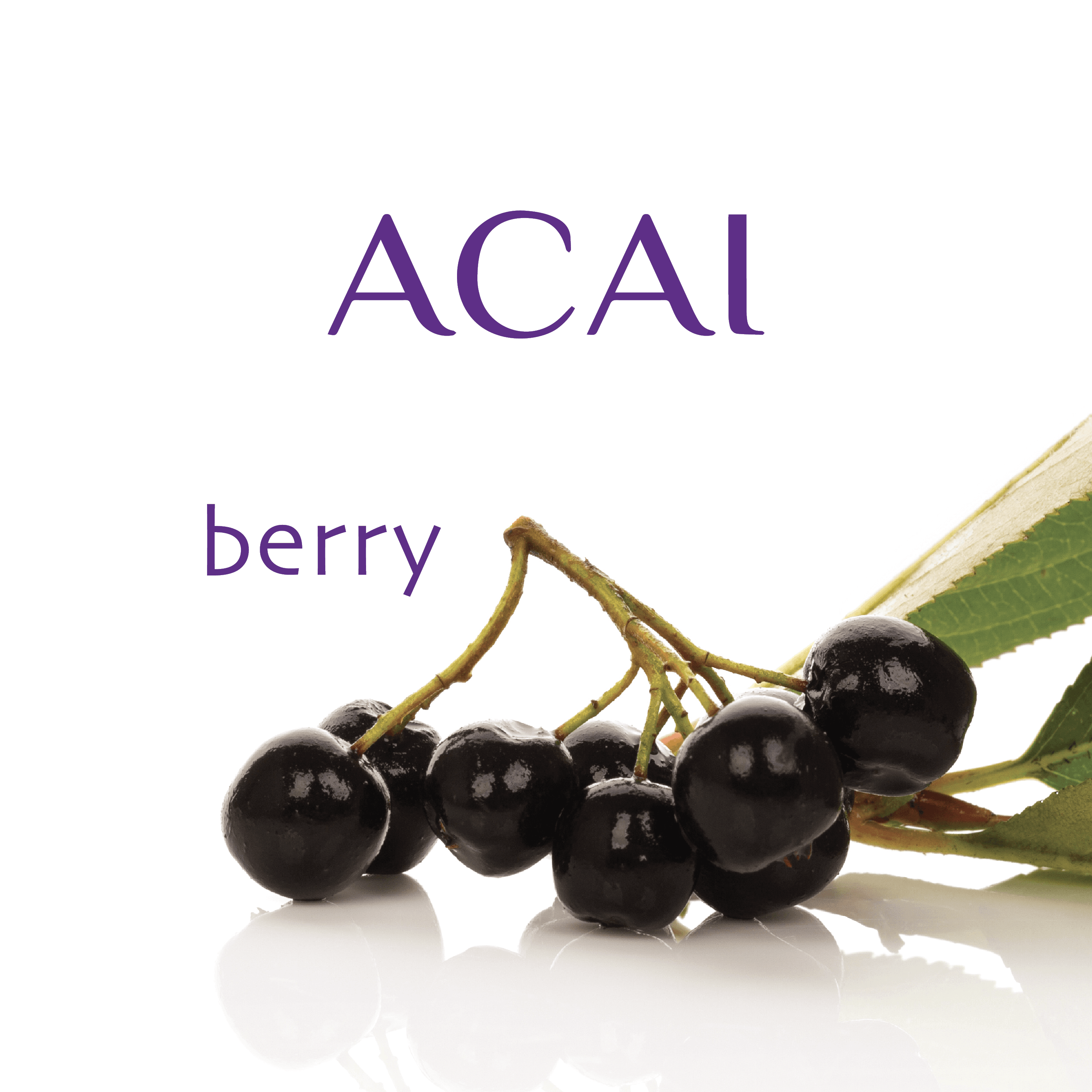 Acai berry with St. Lucia's Golden Sea Moss Gel | Premium SuperFood Elixir | Net WT. 16 Fl. Oz. ingredients
