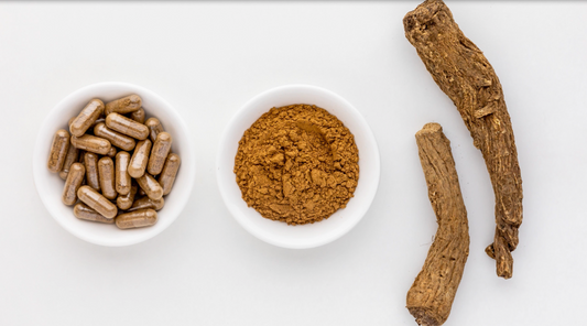 Saussurea (Lappa) Costus Root (Qist al-Hindi)