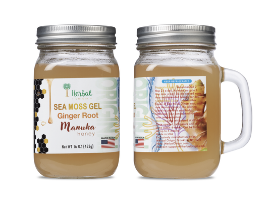 Sea Moss Gel with raw Manuka Honey & Ginger root | Premium SuperFoods Elixir Net WT. Each jar 16 OZ (453g) - 1 case (12 glass jars)