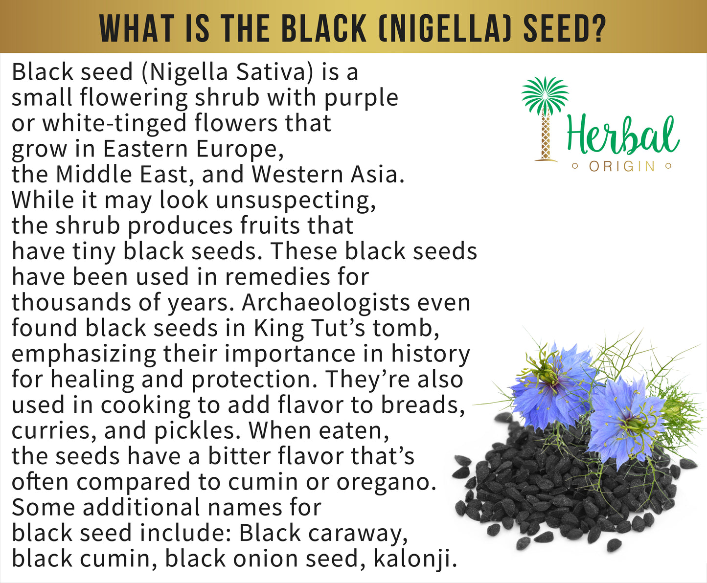 Saudi Arabian Cumin Black Seed (Kolonji, Nigella Sativa) | Organic Premium Sort | 100% Authentic Black Seed | Whole Seed NET WT. 6 Oz. (170g)