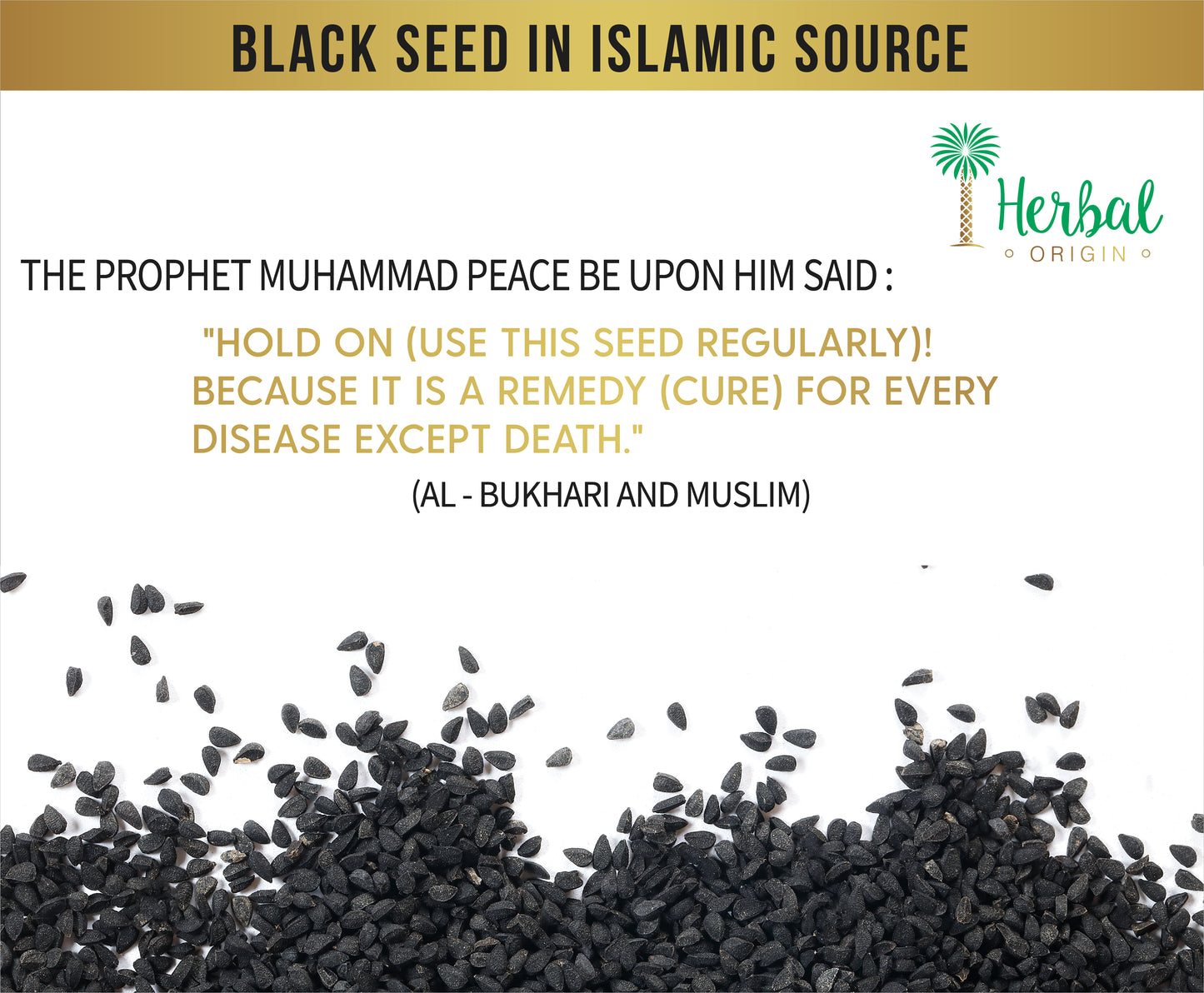 Saudi Arabian Cumin Black Seed (Kolonji, Nigella Sativa) | Organic Premium Sort | 100% Authentic Black Seed | Whole Seed NET WT. 6 Oz. (170g)
